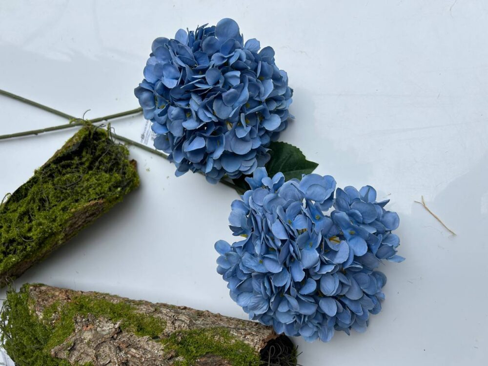 Гортензія xl голуба