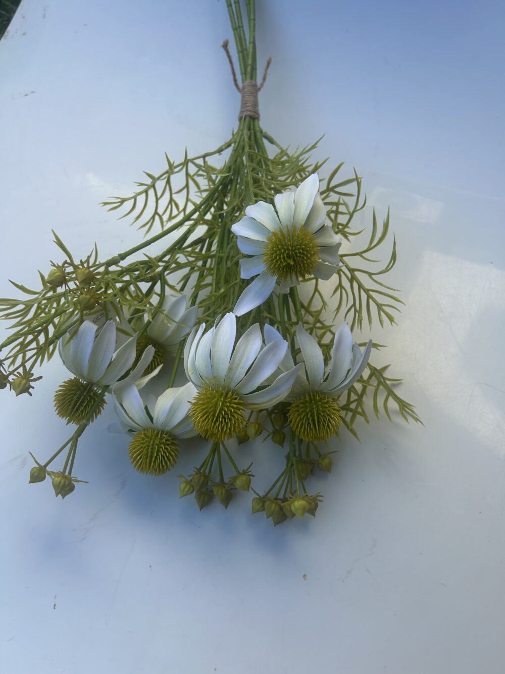 Гілка Штучної Ехінацеї біла