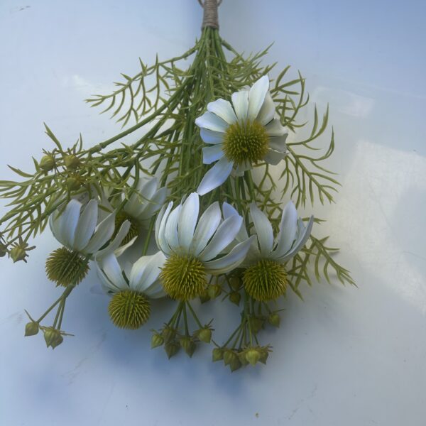 Гілка Штучної Ехінацеї біла