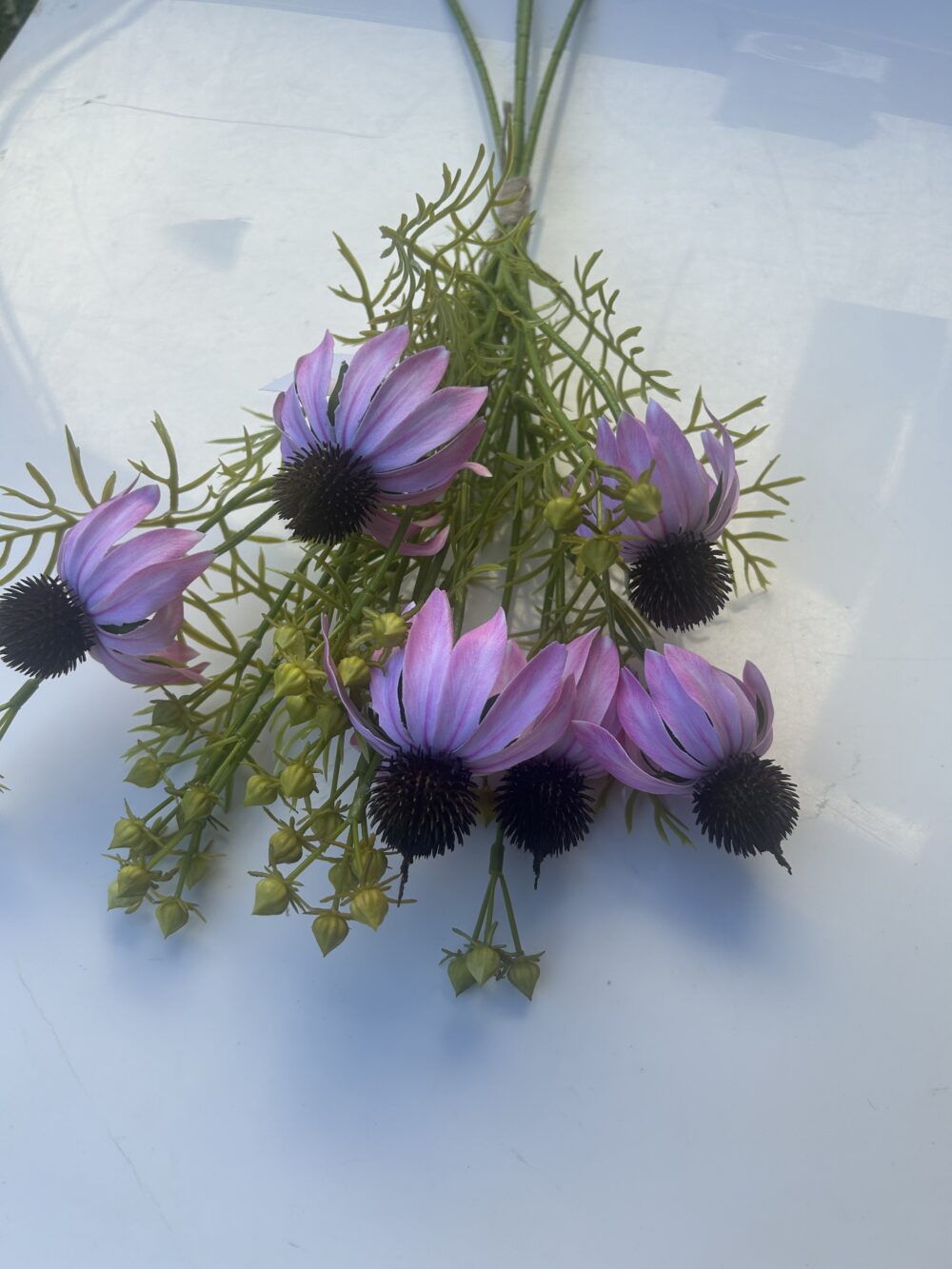 Гілка Штучної Ехінацеї рожева