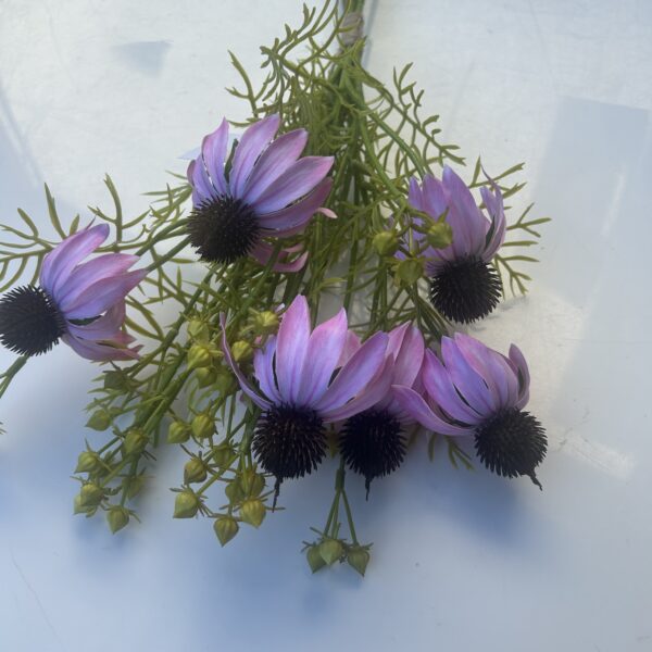Гілка Штучної Ехінацеї рожева