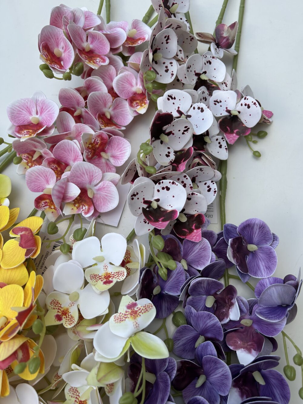 Кущова орхідея біла - Зображення 3