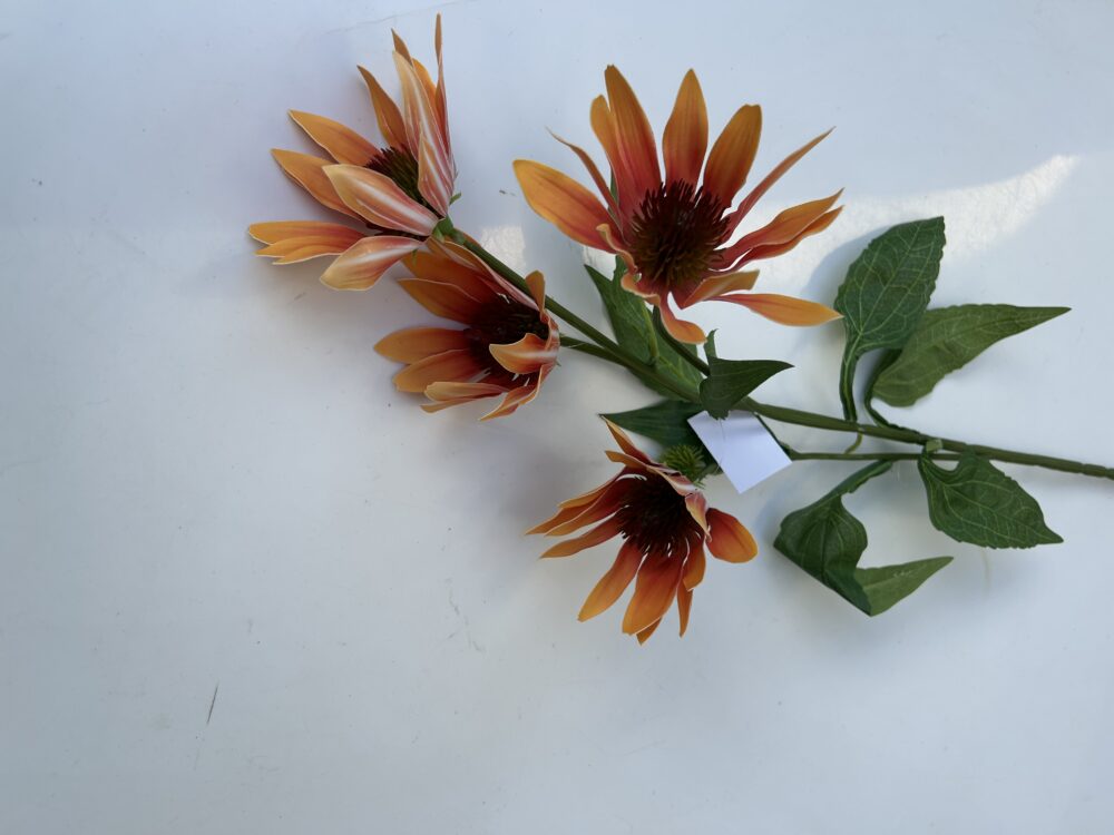 Гілка Штучної Ехінацеї помаранчева