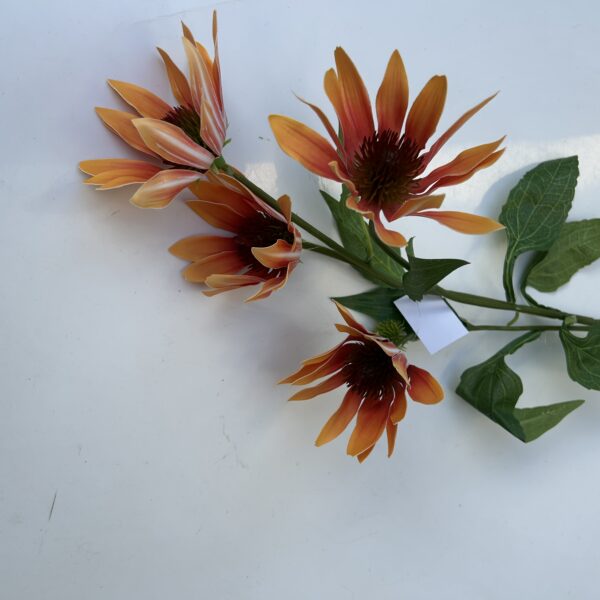 Гілка Штучної Ехінацеї помаранчева