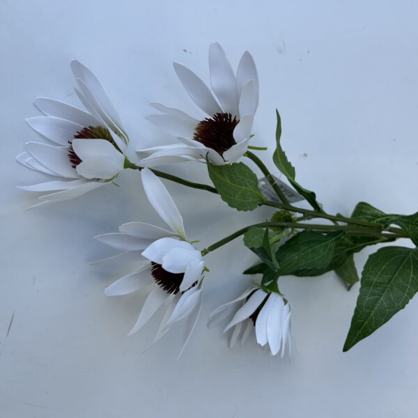 Гілка Штучної Ехінацеї біла