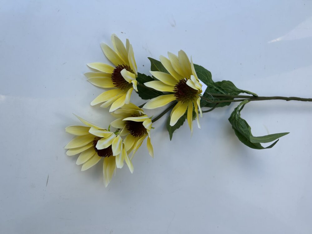 Гілка Штучної Ехінацеї жовта