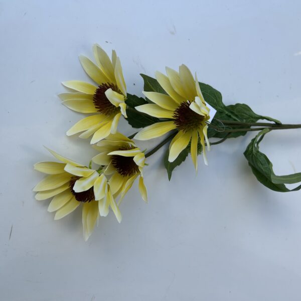Гілка Штучної Ехінацеї жовта
