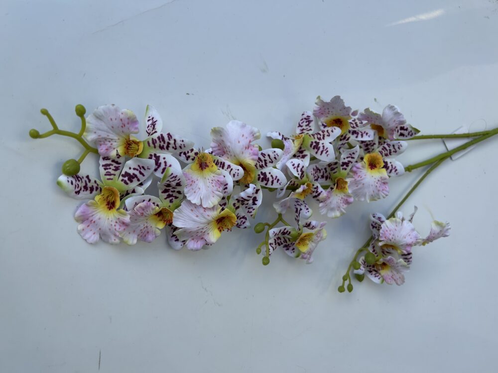 Плямиста орхідея