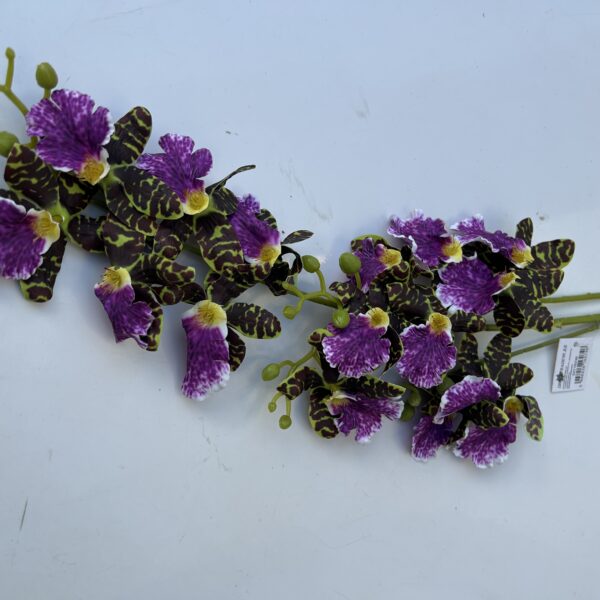 Плямиста орхідея