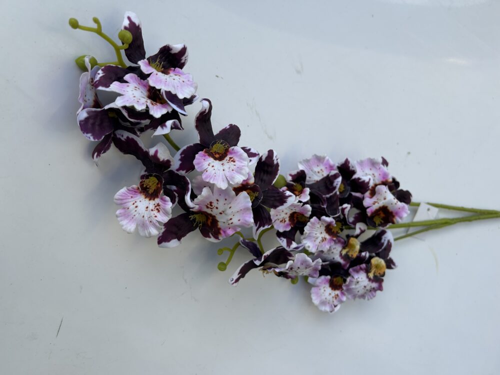 Плямиста орхідея