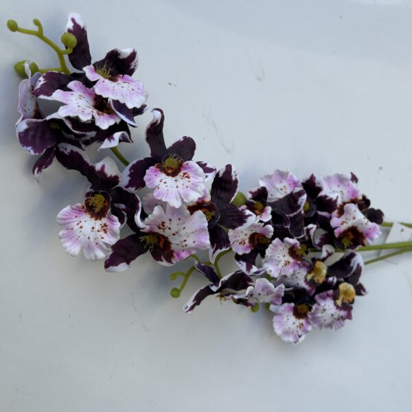 Плямиста орхідея