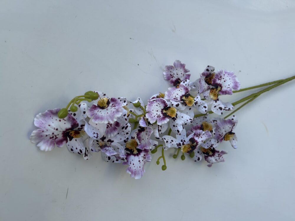 Плямиста орхідея