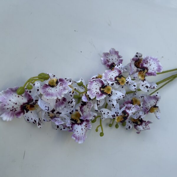 Плямиста орхідея