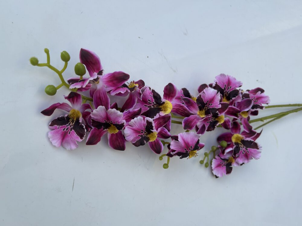 Плямиста орхідея