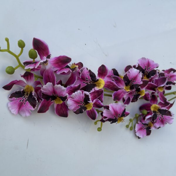 Плямиста орхідея