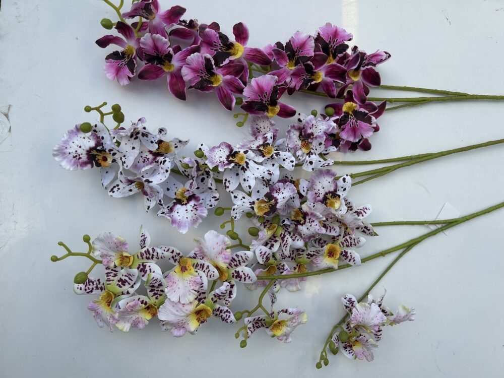 Плямиста орхідея - Зображення 2