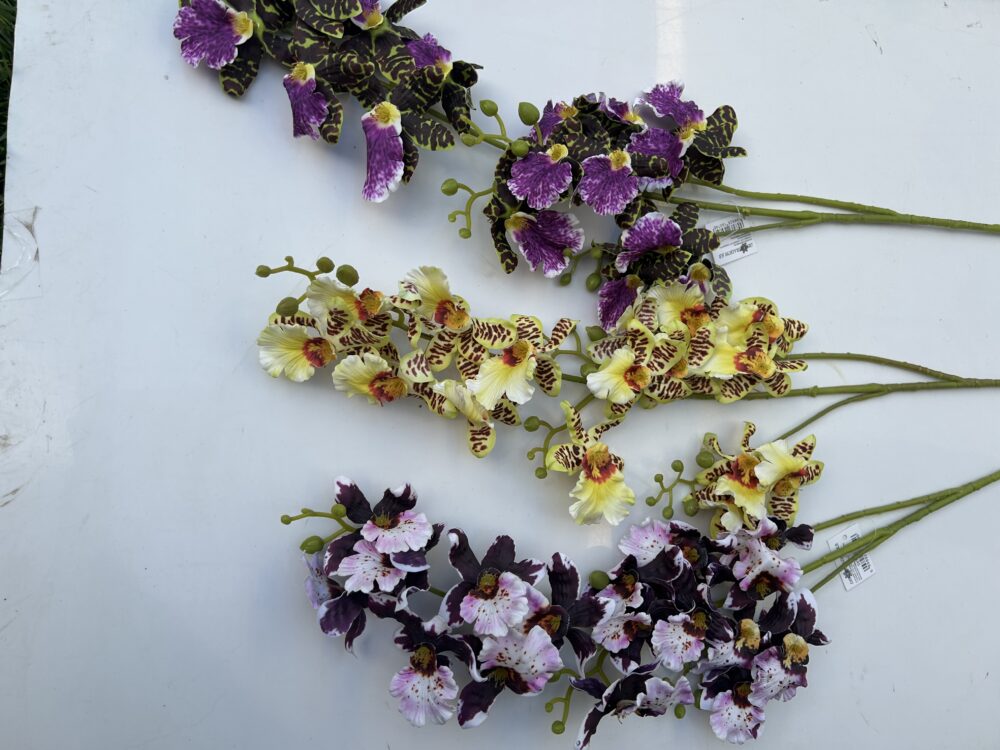 Плямиста орхідея - Зображення 2