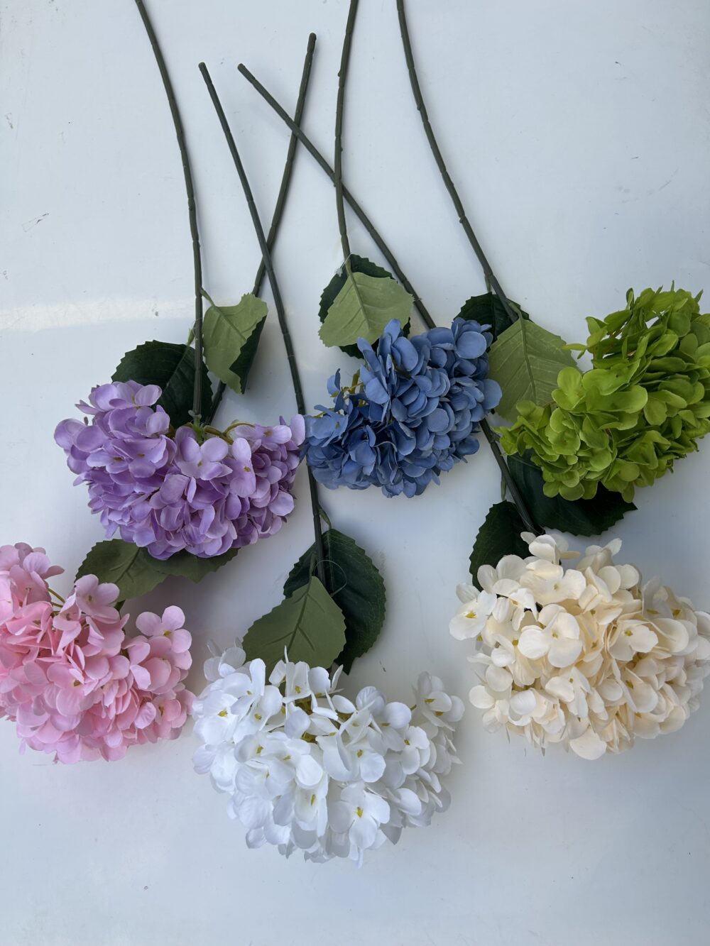 Королівська гортензія кремова