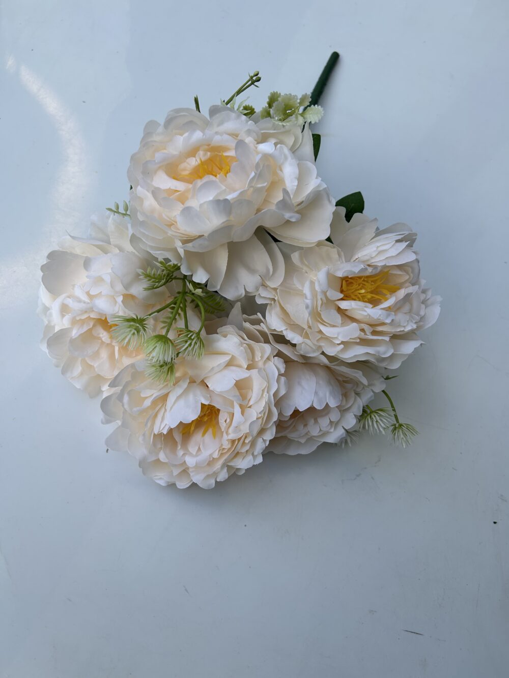 Півонія штучна пудрова