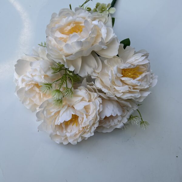 Півонія штучна пудрова