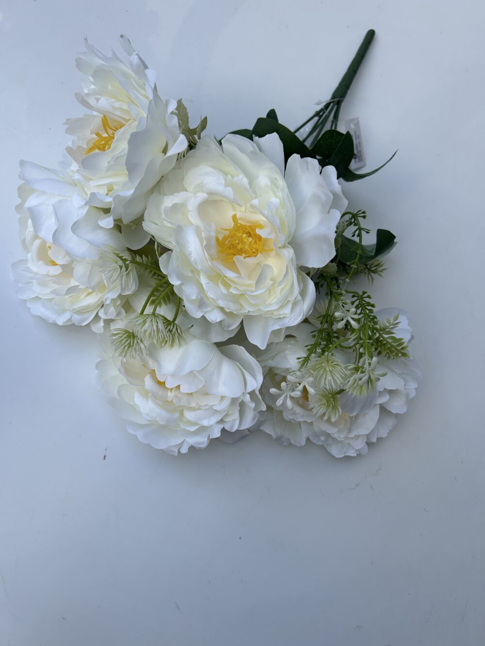 Півонія штучна біла