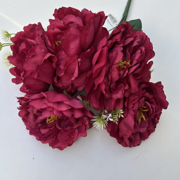 Півонія штучна бордо