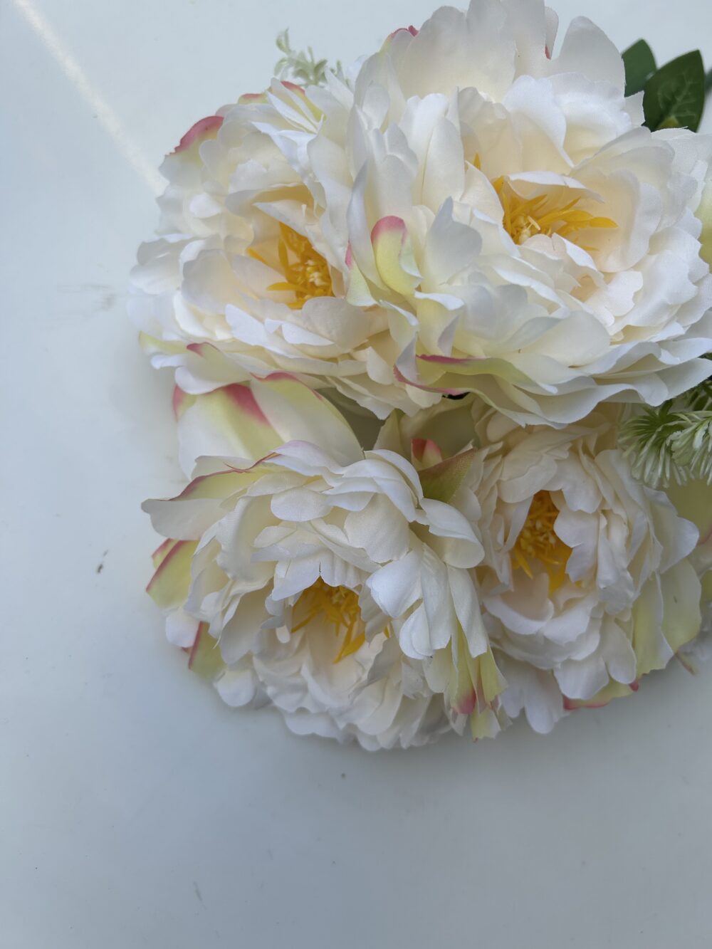 Півонія штучна шампань - Зображення 3