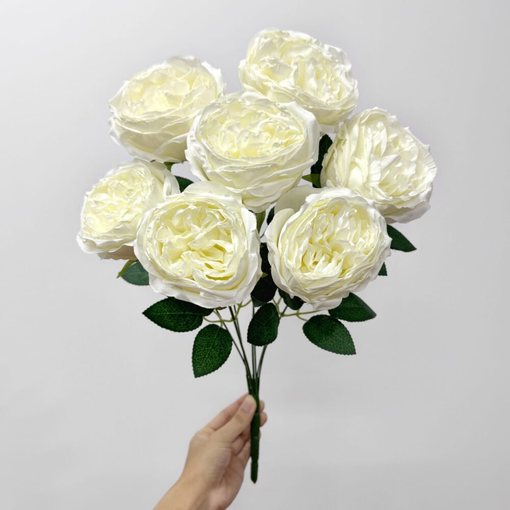 Троянда Девід Остін біла