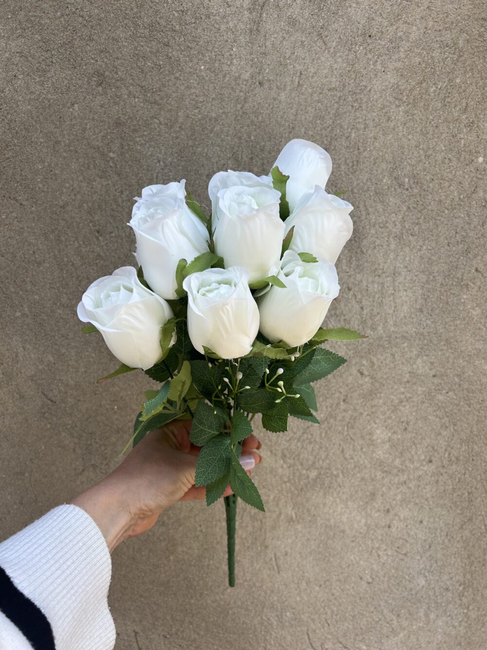 Троянда висока біла