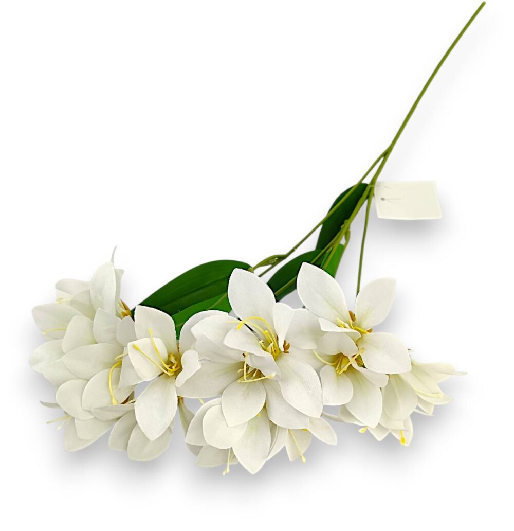 Гілка Штучної Фрезії