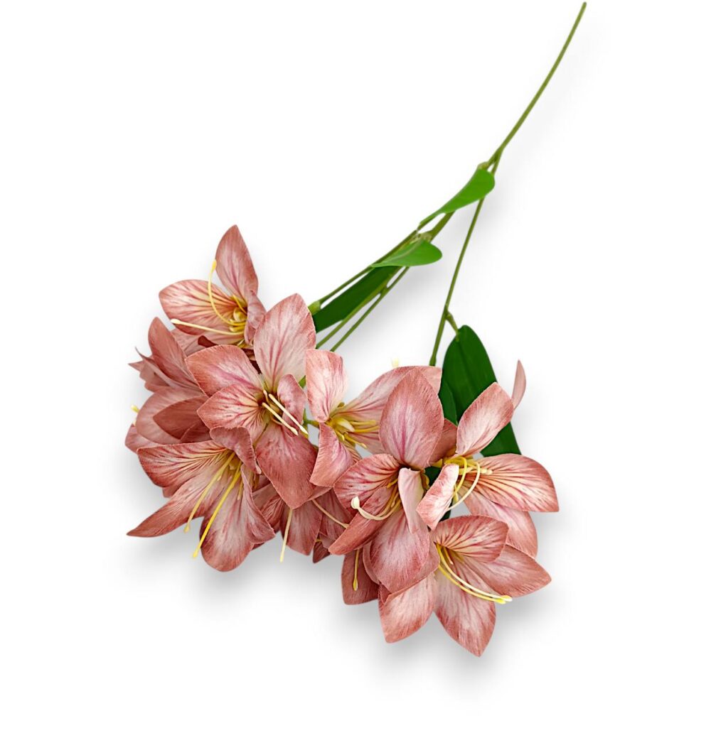 Гілка Штучної Фрезії