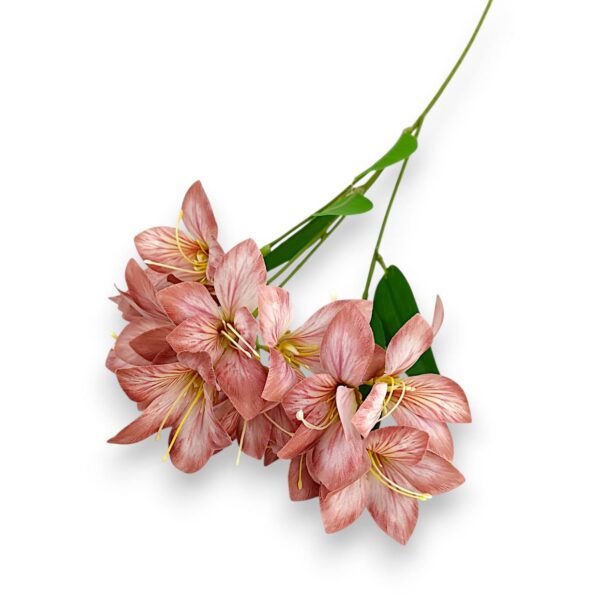 Гілка Штучної Фрезії