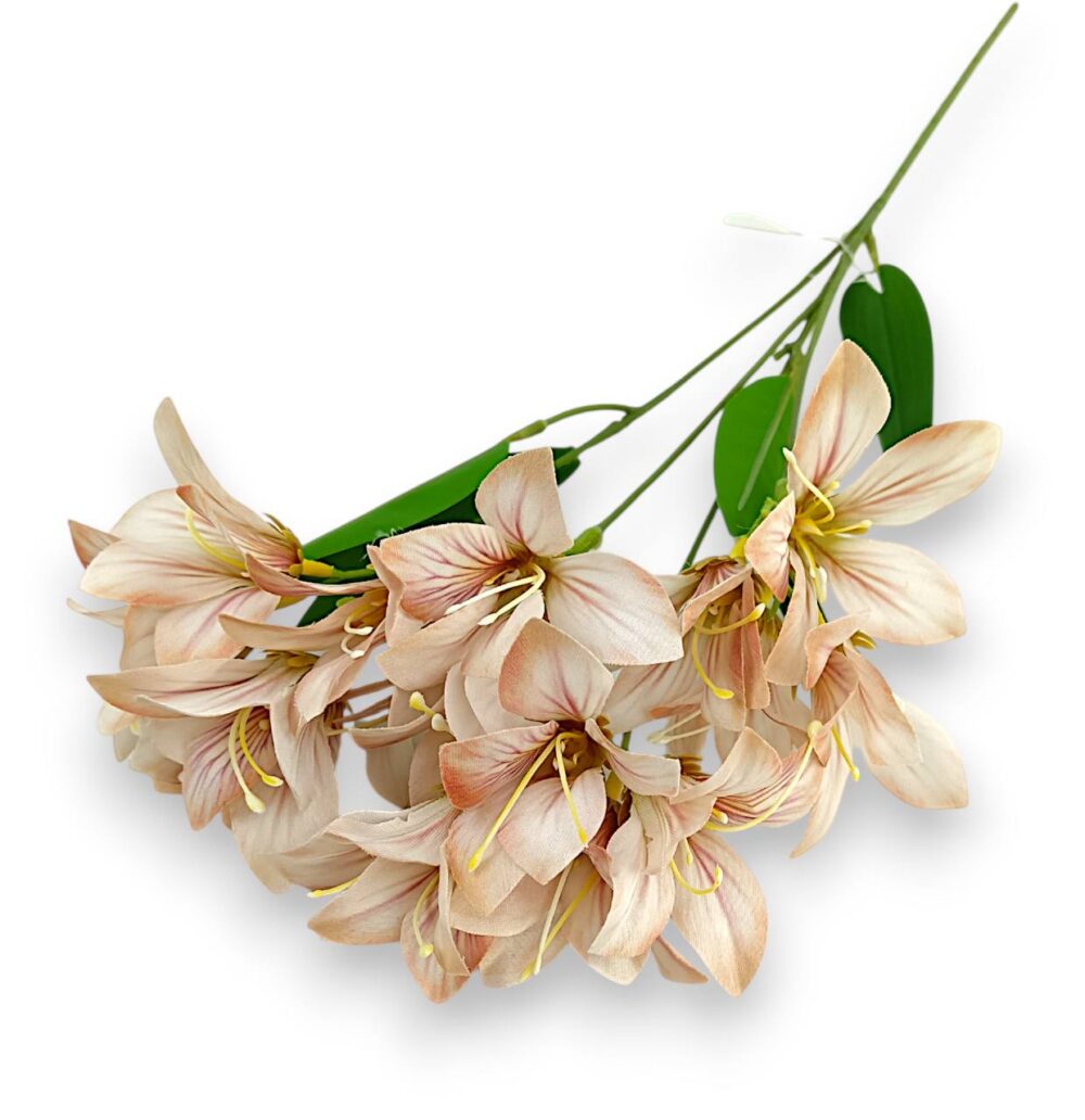 Гілка Штучної Фрезії