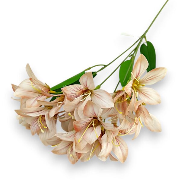 Гілка Штучної Фрезії