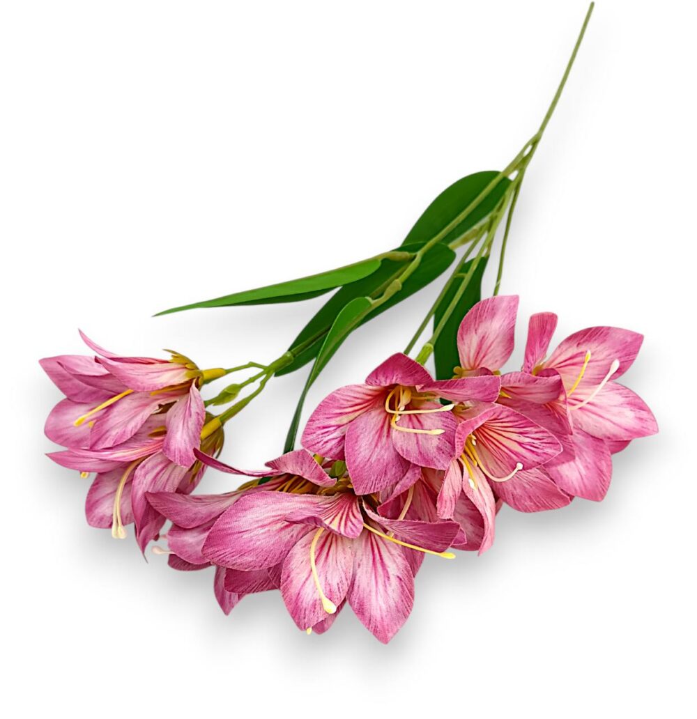 Гілка Штучної Фрезії