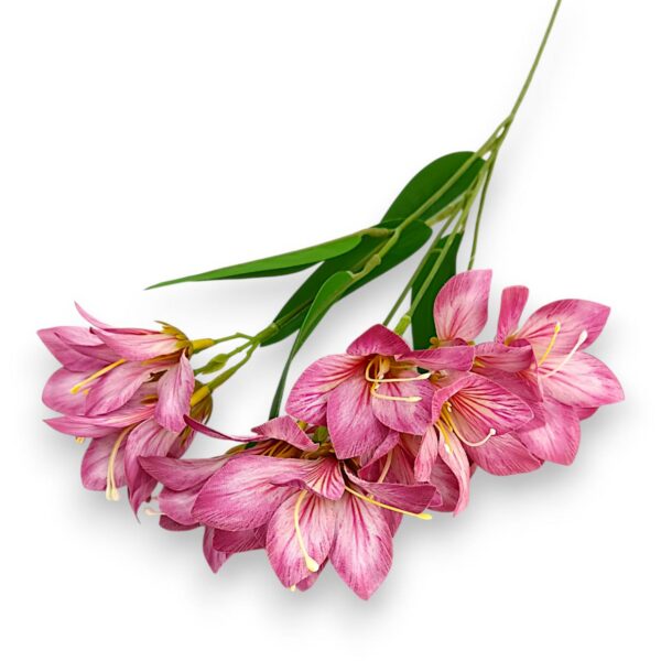 Гілка Штучної Фрезії