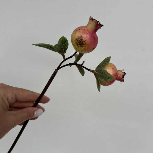 IMG 4930 600x600